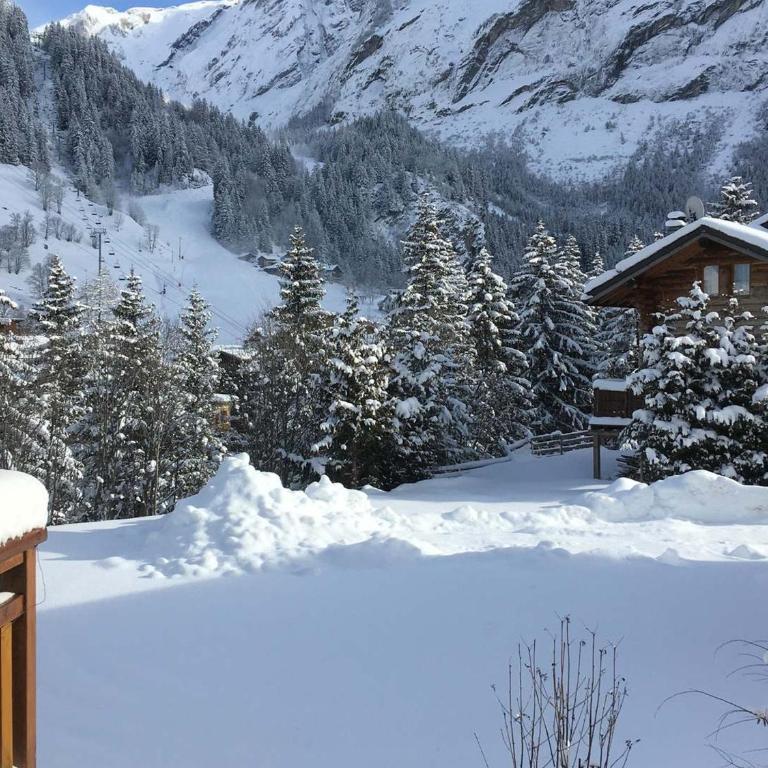 Chalet haut de gamme pour 10 pers., proche pistes, parking privé - FR-1-464-7 - Chalet 3 Chambres - 16