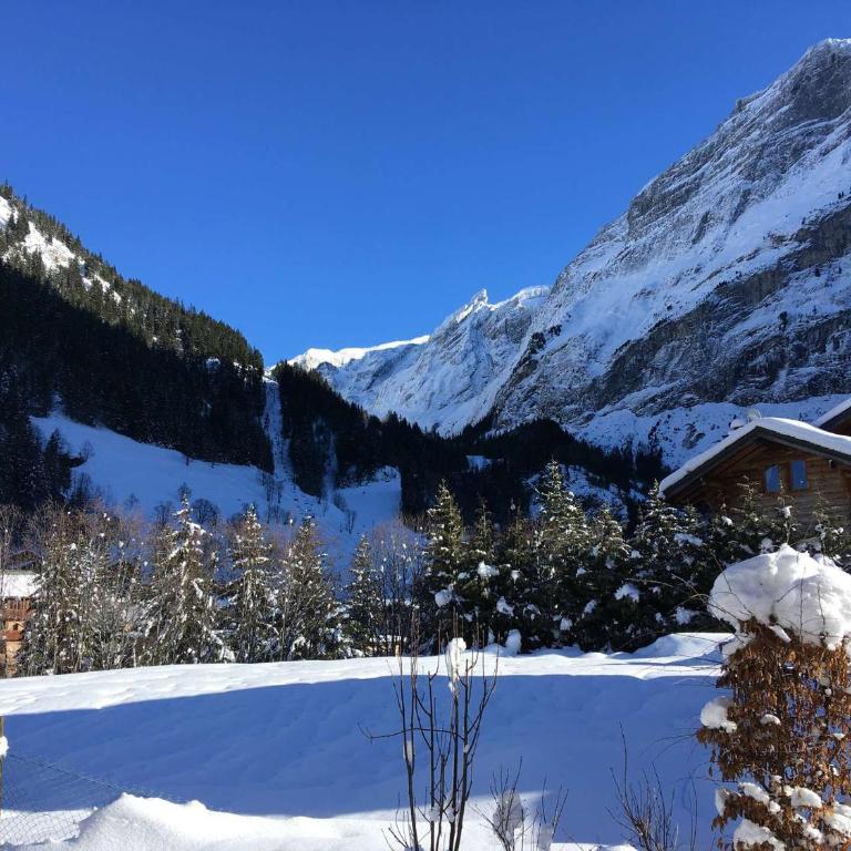 Chalet avec terrasse et parking privé, proche téléphérique - FR-1-464-29 - Appartement 2 Chambres - 8