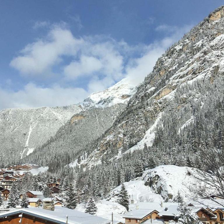Chalet avec terrasse et parking privé, proche téléphérique - FR-1-464-29 - Appartement 2 Chambres - 11