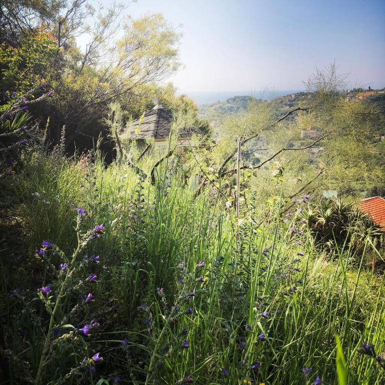 Villa d'Artisti - Apartment mit Meerblick - 53