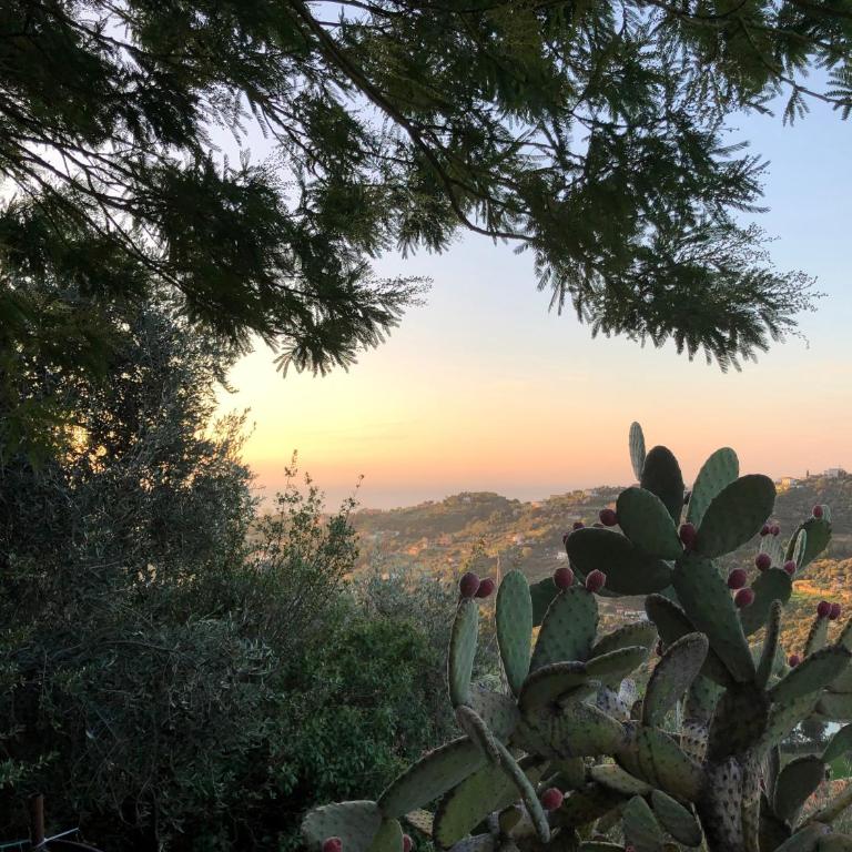 Villa d'Artisti - Apartment mit Meerblick - 57