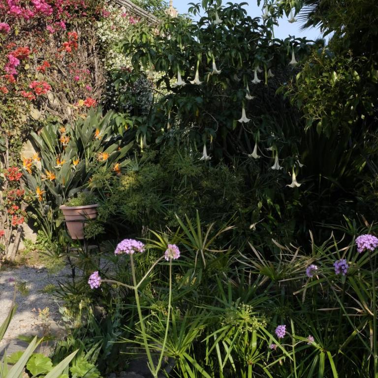 Villa d'Artisti - Apartment mit Meerblick - 60