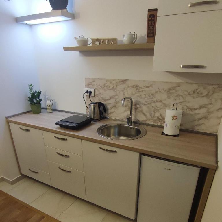Apartmani Stari Aerodrom - One-Bedroom Apartment - 8