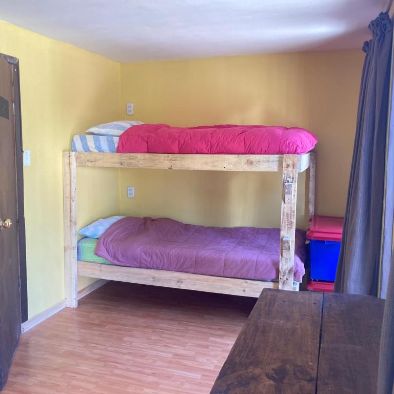 Willhouse Hostel - Bed in 4-Bed Mixed Dormitory Room - 3