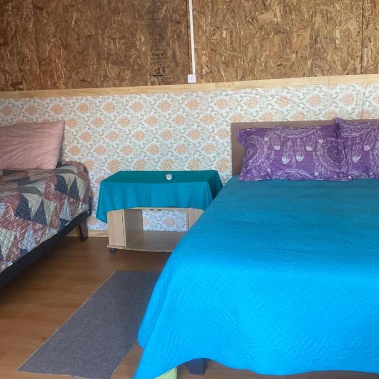 Mecohue - One-Bedroom Apartment - 8