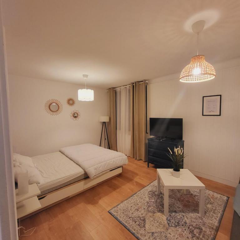 Appartement T1 bis 35m2 ANNECY proche centre ville - Appartamento con 1 Camera da Letto - 2