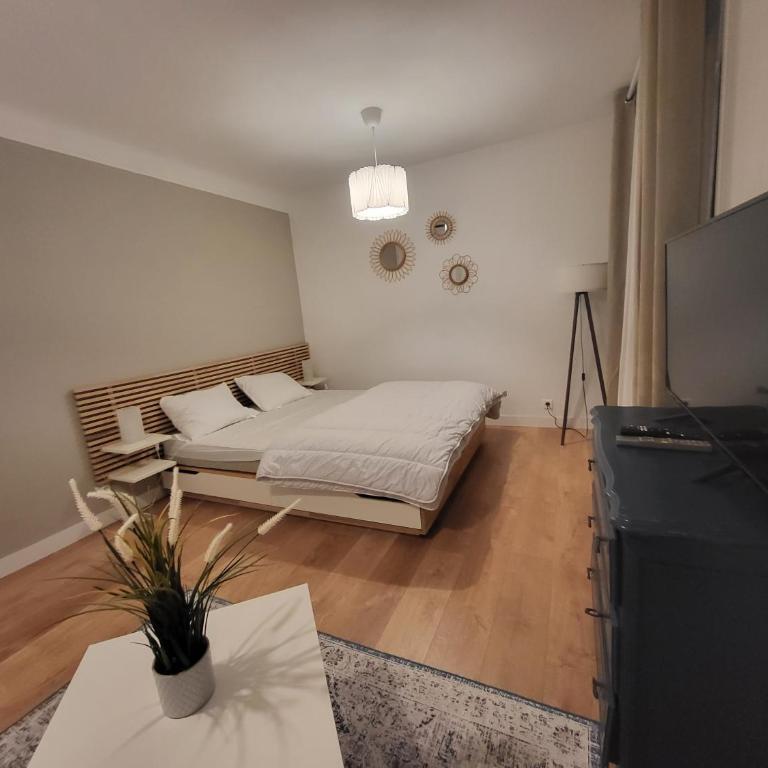 Appartement T1 bis 35m2 ANNECY proche centre ville - Appartamento con 1 Camera da Letto - 1