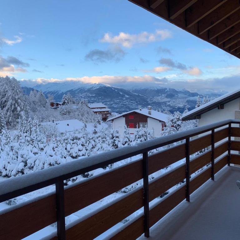 La Jacinthe de Crans - Appartement 2 Chambres - 40