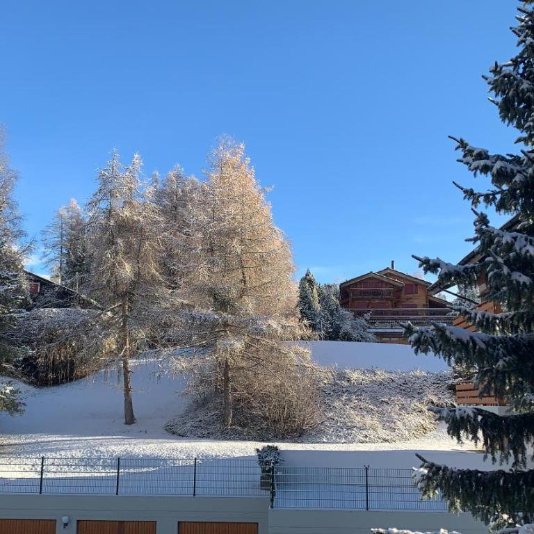 La Jacinthe de Crans - Appartement 2 Chambres - 45