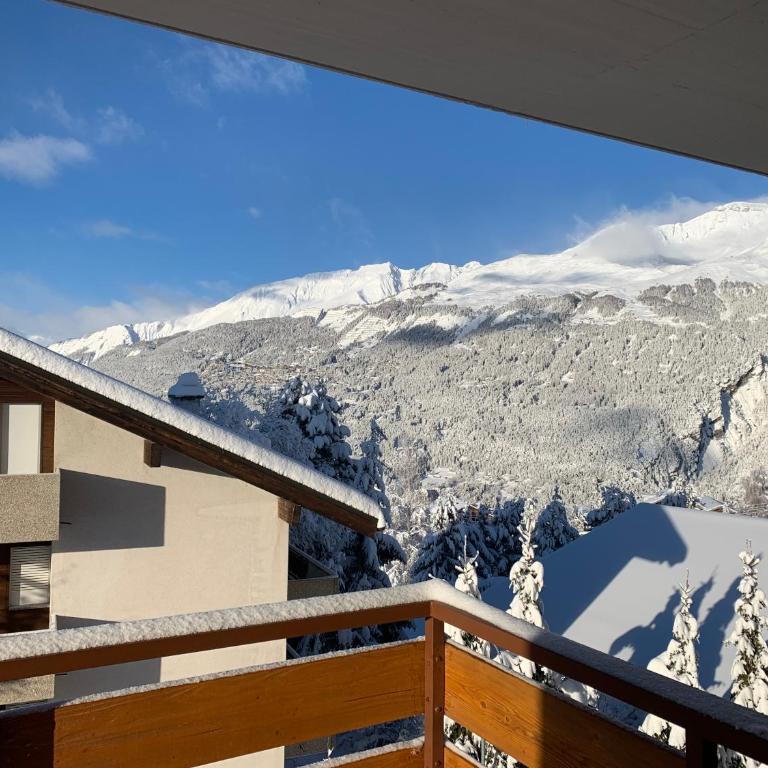 La Jacinthe de Crans - Appartement 2 Chambres - 44