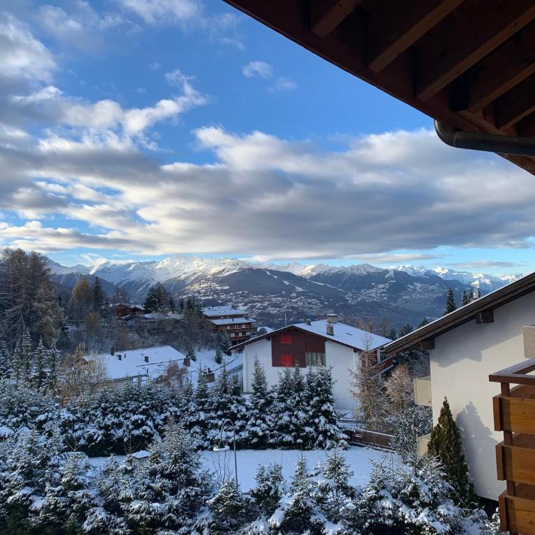 La Jacinthe de Crans - Appartement 2 Chambres - 43