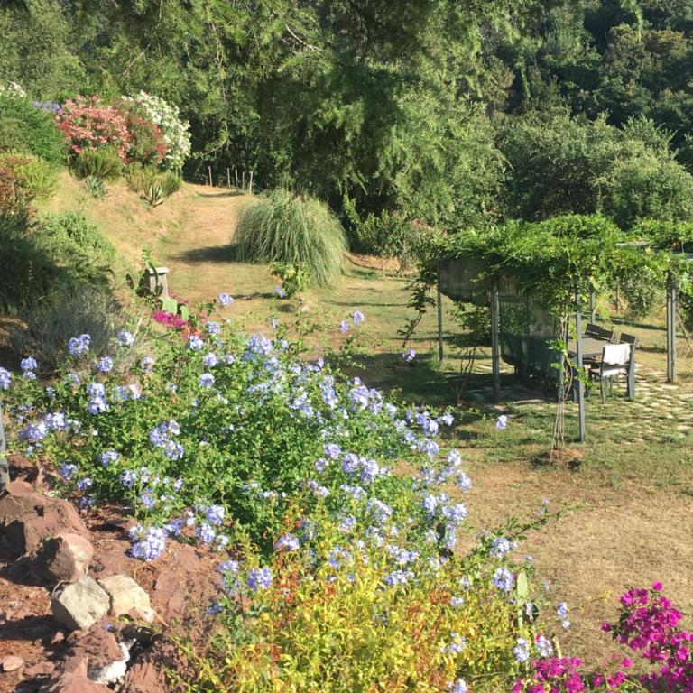 New penthouse - Cinque Terre, Tuscany, Liguria, Lerici #4 - Appartamento con 3 Camere da Letto - 10