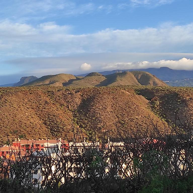 C101 Los Balandros - Two-Bedroom Apartment - 40