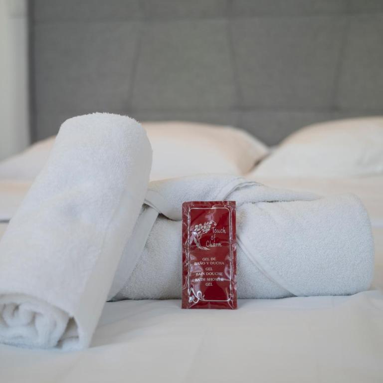 Dolmen Adrien 2 - Apartamento de 1 dormitorio - 15