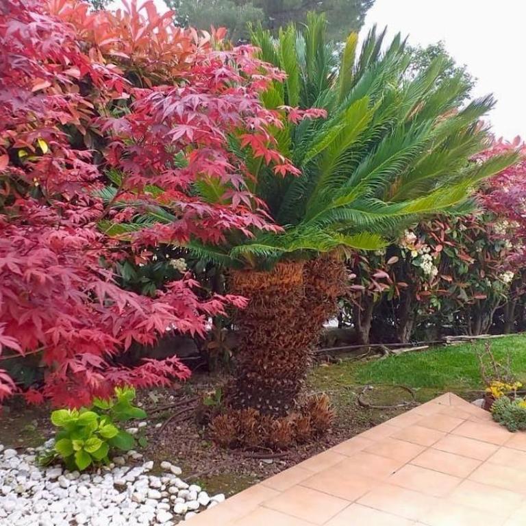 Villa Gaia - Luxury Villa, pool & wellness rooms - Villa con Piscina Privata - 6