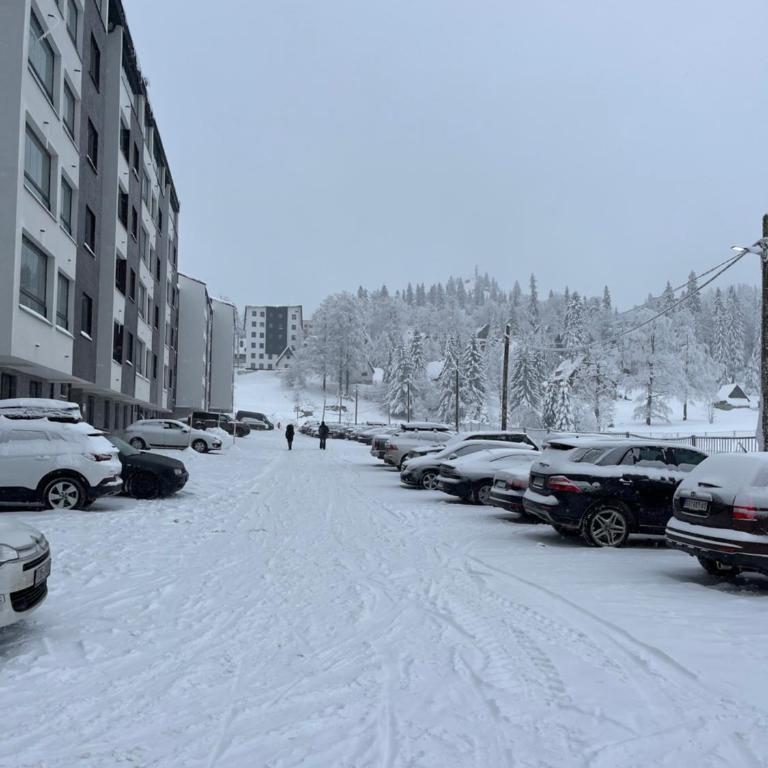 JoJo Apartment - One-Bedroom Apartment - 40