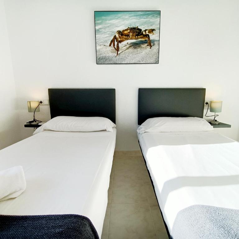 La Manga Norte Villa - 6509 - Villa - 51