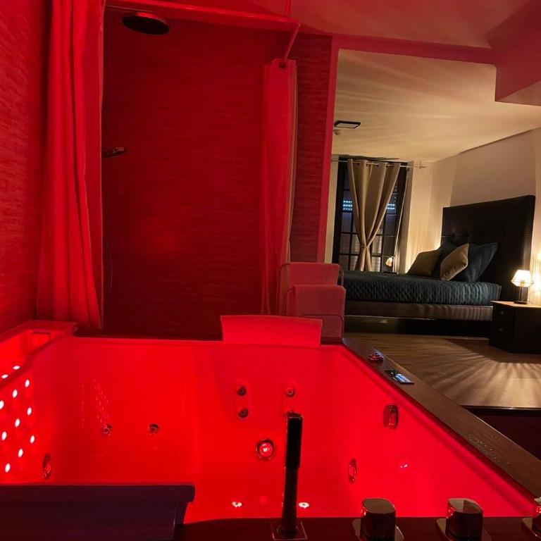 Loft ravissant 45m2 Jacuzzi RVB NIGHT 2 ÉTABLISSEMENT FERMÉ DÉFINITIVEMENT - Apartamento de 1 dormitorio - 21