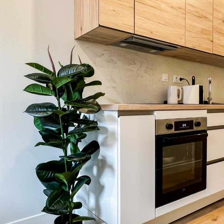 Balneo village vieille ville AC - Maisonette-Apartment - 21