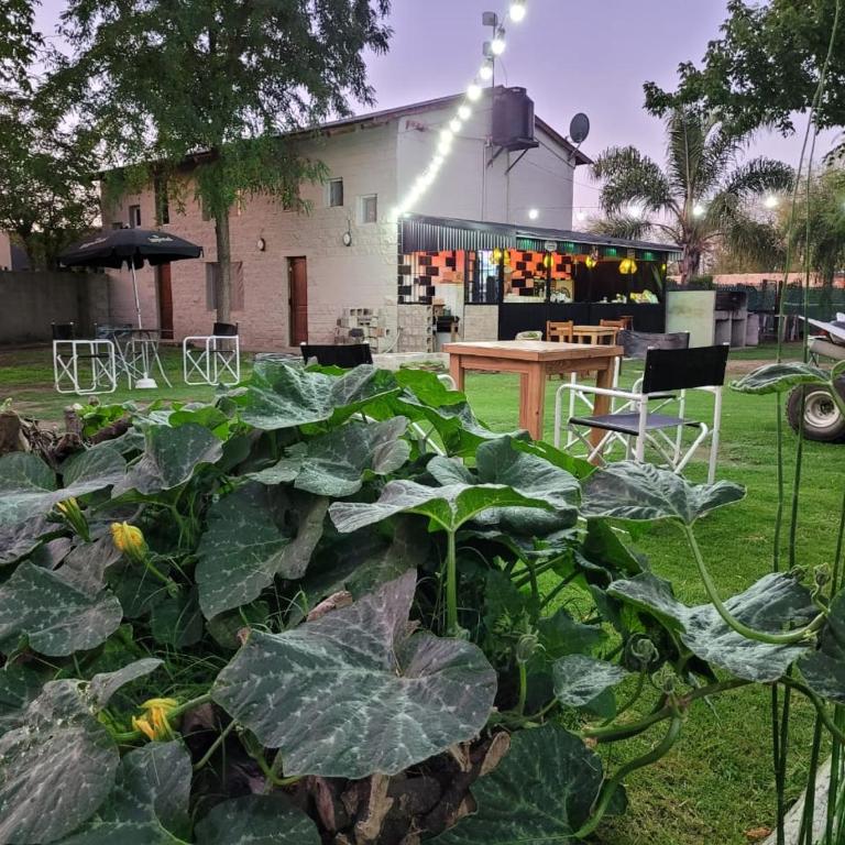 Cabañas De Cero - Apartamento de 1 dormitorio - 4