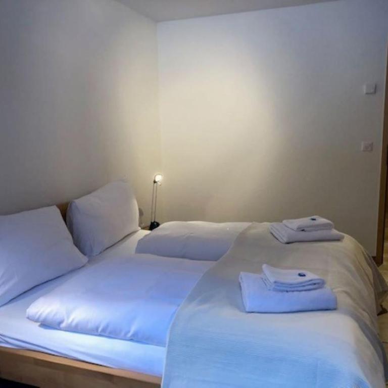 Komfortabel, Perfekte Lage, neue Wohnung, gratis P - Apartment mit 1 Schlafzimmer - 6
