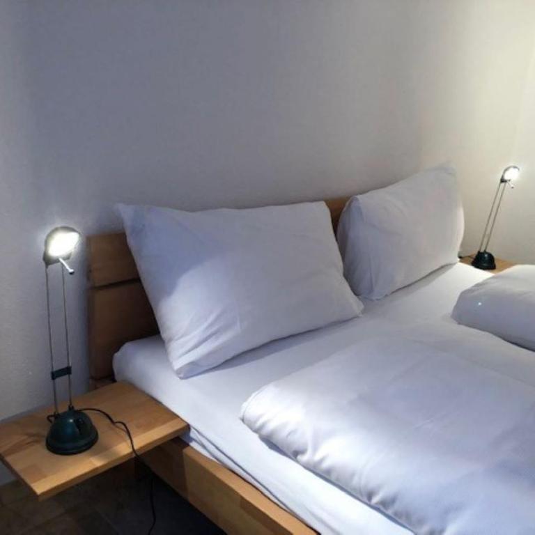 Komfortabel, Perfekte Lage, neue Wohnung, gratis P - Apartment mit 1 Schlafzimmer - 12