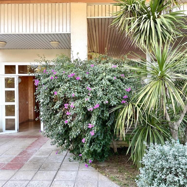 APARTBEACH LOS RISCOS y RESIDENCIAL - Apartment with Pool View - 49