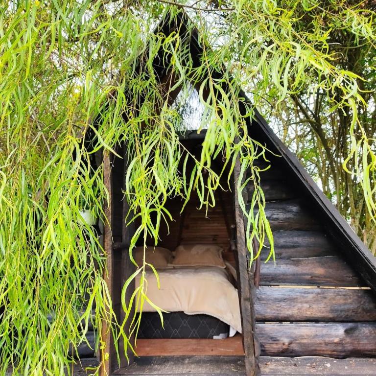 Iwoka Ecoturismo - Chalet - 6