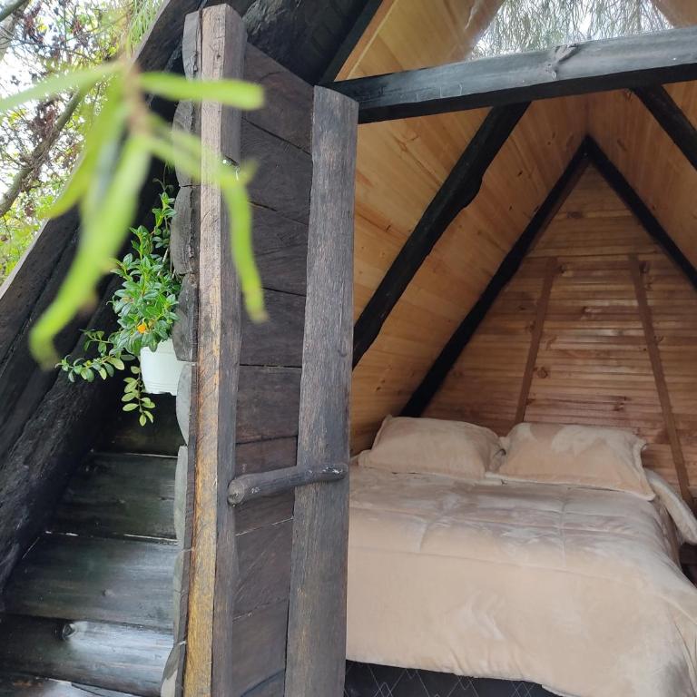 Iwoka Ecoturismo - Chalet - 7
