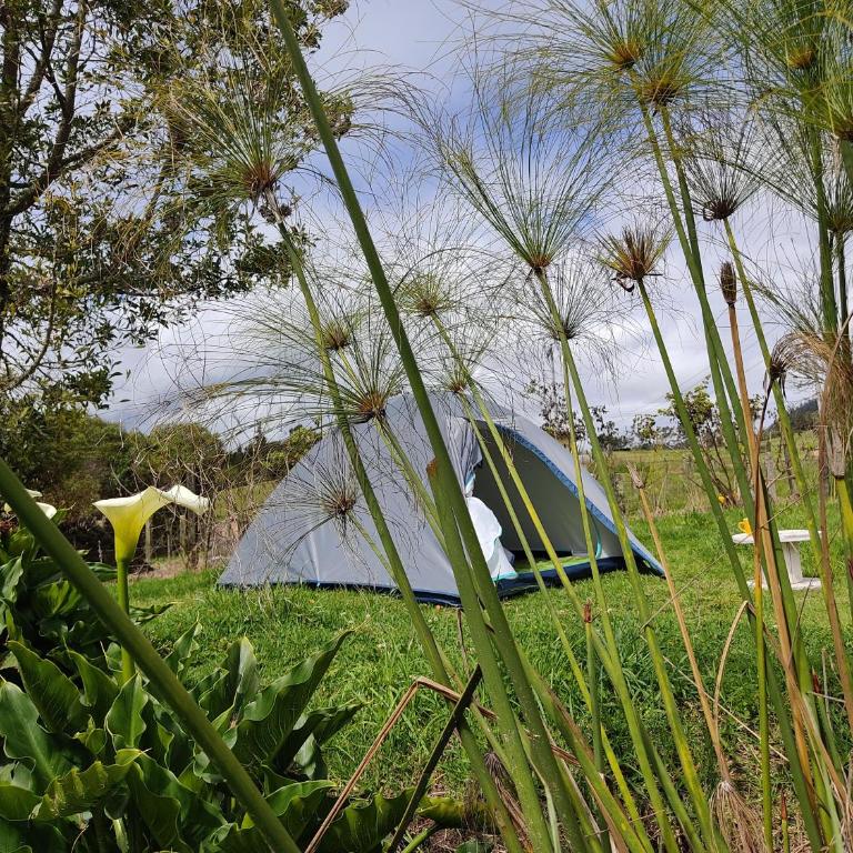 Iwoka Ecoturismo - Tent - 8