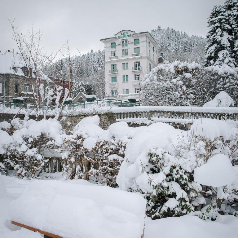 Cosy T2 au Mont Dore Sauna privé et vue montagne proche thermes - Apartment mit Sauna - 22