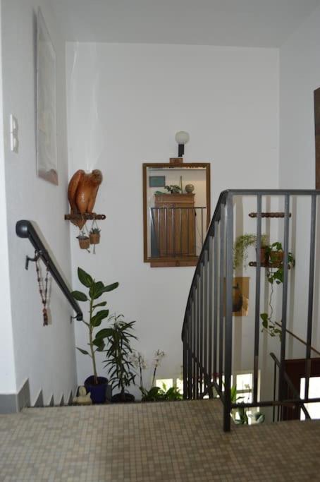 A l'ombre du palmier, maison à 1,2 km de l'océan - Maison 3 Chambres - 16