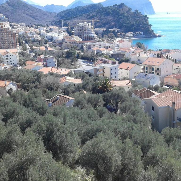 Oro Apartments - Apartment with Sea View - 8