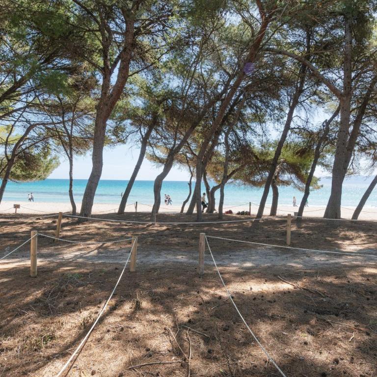 Condesa*Holiday Apartment 4, Alcudia beach - Apartamento de 3 dormitorios - 14