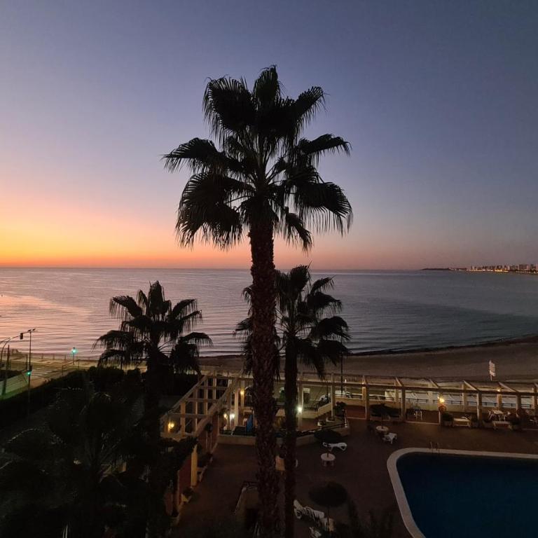 Apartamento del Mar - Playa Muchavista - Apartamento de 3 dormitorios - 28