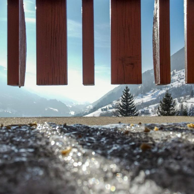 Chalet Bijou - Chalet mit 3 Schlafzimmern - 50