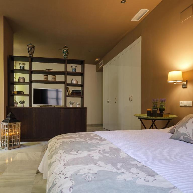 Luces de Catedral - Superior Apartment - 19