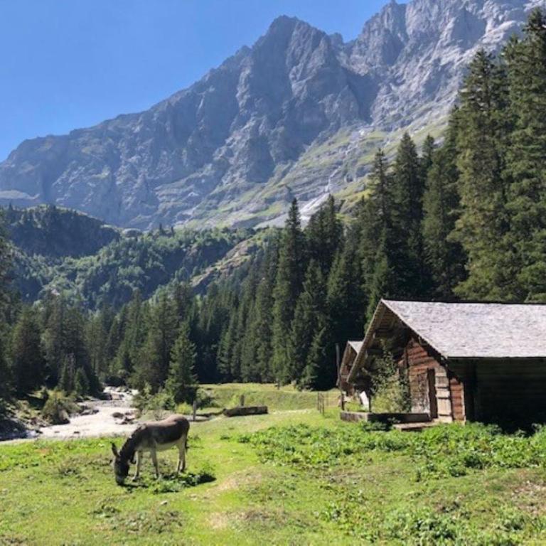 Komfortabel, Perfekte Lage, neue Wohnung, gratis P - Apartment mit 1 Schlafzimmer - 23
