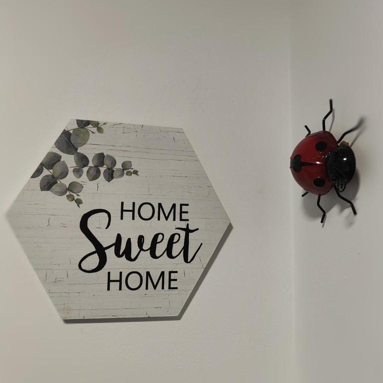 El Cielo de Fomento - Apartamento de 1 dormitorio - 10