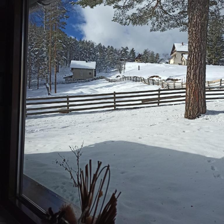 Kuća za odmor-Aleksandra - Vikendica - 25
