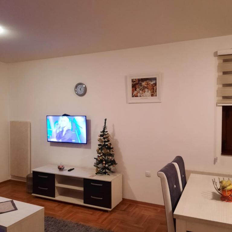 Apartman Bilja - Apartman sa 1 Spavaćom Sobom - 3