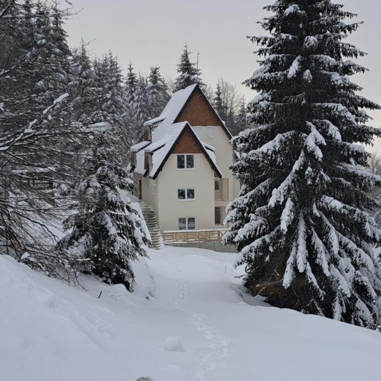 A2Kopaonik newly built apartments - Apartman - 29