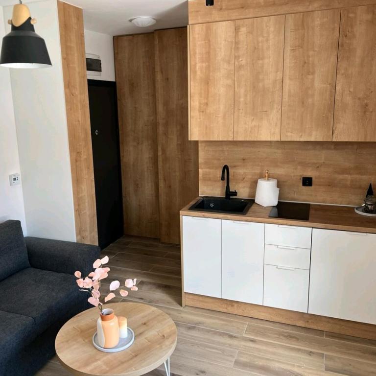 Apartman N&V, Villa Mont Jahorina - Apartman sa 1 Spavaćom Sobom - 14