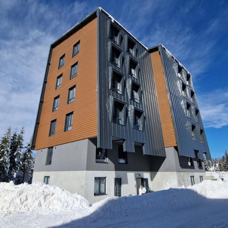 Apartman N&V, Villa Mont Jahorina - Apartman sa 1 Spavaćom Sobom - 1