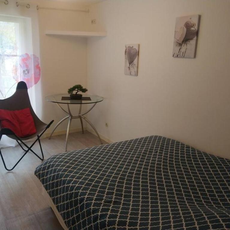 Zoo Zen 6 pers, au coeur de St Aignan - Two-Bedroom Apartment - 4