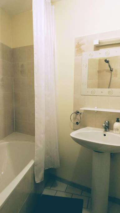 Zoo Zen 6 pers, au coeur de St Aignan - Two-Bedroom Apartment - 9
