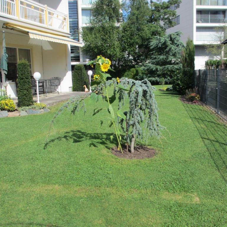 Apartment Velden - Angelika Berginz - Superior Apartment mit 2 Balkonen - 16