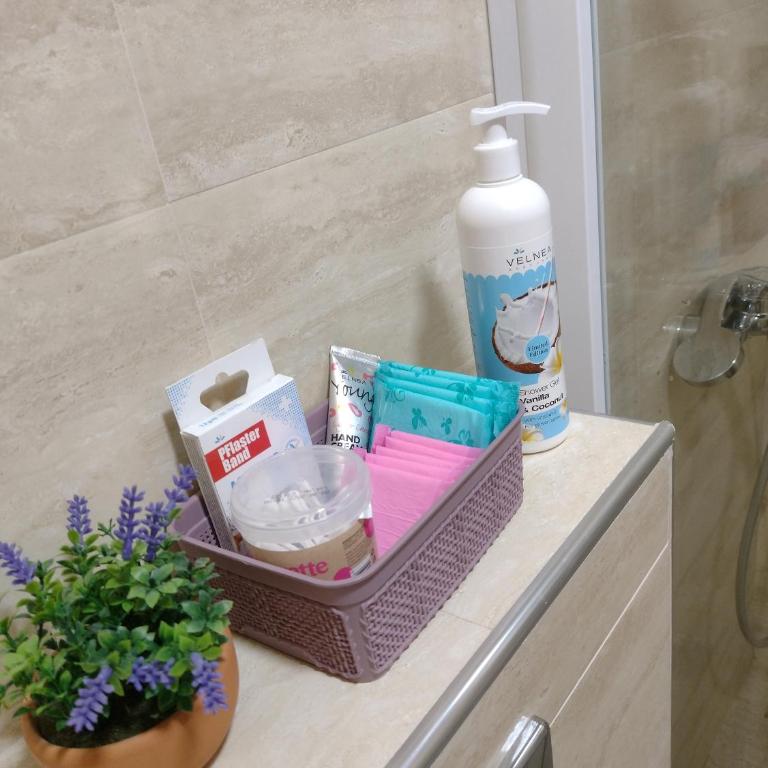 Apartman Dana - Apartman sa 1 Spavaćom Sobom - 30