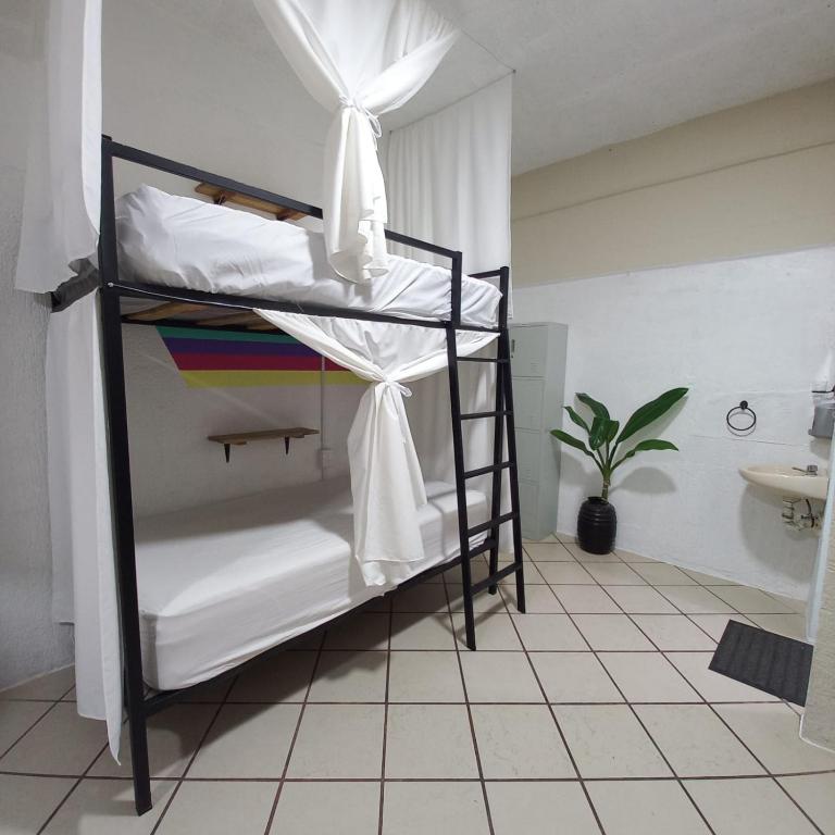 Chante - Cama en habitación compartida de 8 camas - 3
