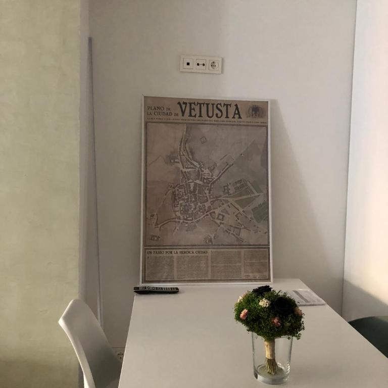 Piso en el emblemático barrio antiguo de Oviedo - Apartamento de 2 dormitorios - 19